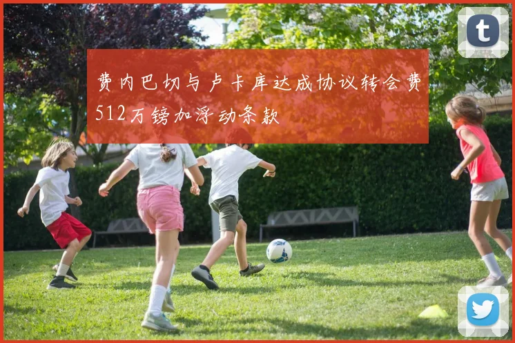 费内巴切与卢卡库达成协议转会费512万镑加浮动条款
