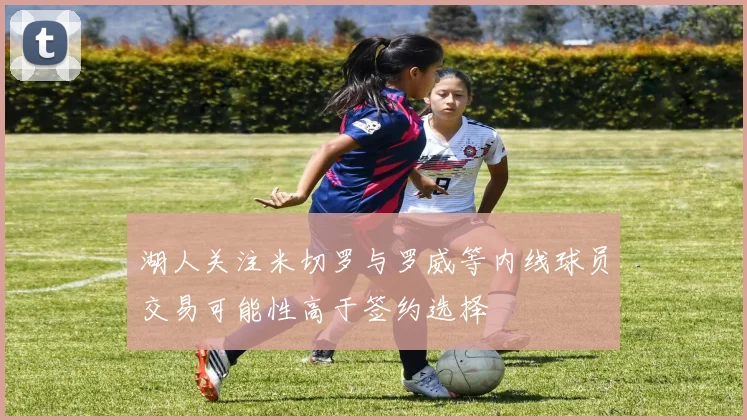 湖人关注米切罗与罗威等内线球员交易可能性高于签约选择